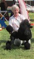 Clyde i Hammarskog.JPG
