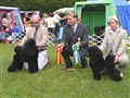 Höör 2004.jpg