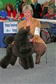 IMG_7412_presley_02.jpg
