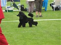 Köping 2009.JPG