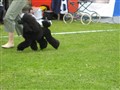 Köping i rörelse.JPG
